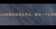 10个以A结尾的成语及用法最后一个太惊艳