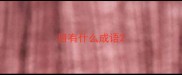 目有什么成语