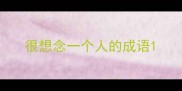 很想念一个人的成语
