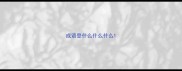 成语登什么什么什么