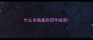 什么非曲直的四字成语