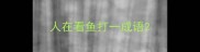 人在看鱼打一成语