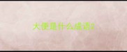 大便是什么成语