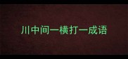 川中间一横打一成语
