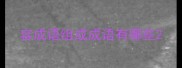 容成语组成成语有哪些
