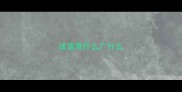 成语高什么广什么