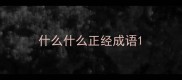 什么什么正经成语