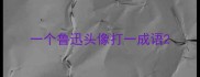 一个鲁迅头像打一成语