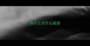 自什么言什么成语