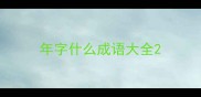 年字什么成语大全