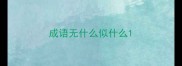 成语无什么似什么