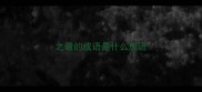 之最的成语是什么成语