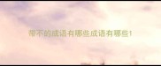 带不的成语有哪些成语有哪些