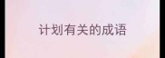 计划有关的成语