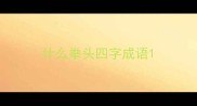 什么拳头四字成语
