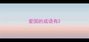 爱国的成语有