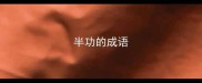 半功的成语