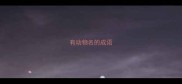 有动物名的成语