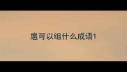 扈可以组什么成语