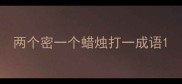 两个密一个蜡烛打一成语