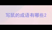 写鼠的成语有哪些
