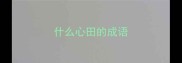 什么心田的成语