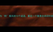 成语百科与豹相关的10个成语最后一个竟是古诗词中的彩蛋