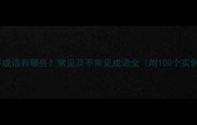 同字成语有哪些常见及不常见成语全附100个实例