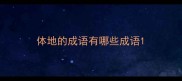 体地的成语有哪些成语