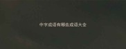 中字成语有哪些成语大全