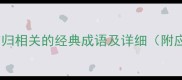 必读20个与归相关的经典成语及详细附应用场景