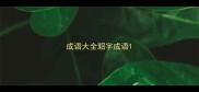 成语大全貂字成语