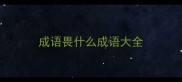 成语畏什么成语大全