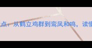 10个爱鸟成语盘点从鹤立鸡群到鸾凤和鸣读懂中华鸟类文化