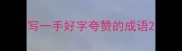 写一手好字夸赞的成语