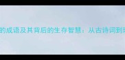 含饥忍渴的成语及其背后的生存智慧从古诗词到现代启示