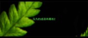 马为的成语有哪些