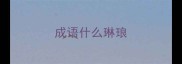 成语什么琳琅