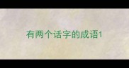有两个话字的成语