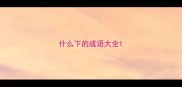 什么下的成语大全