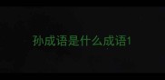 孙成语是什么成语