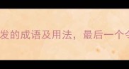 10个关于大发的成语及用法最后一个令人震惊