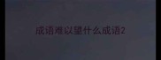 成语难以望什么成语