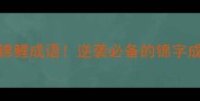 100个锦鲤成语逆袭必备的锦字成语全