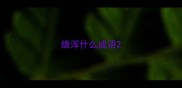 雄浑什么成语