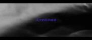 风大的四字成语