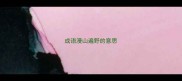 成语漫山遍野的意思