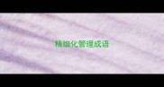精细化管理成语