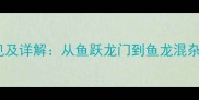 15个与鱼有关的成语常见及详解从鱼跃龙门到鱼龙混杂趣味背后的文化内涵