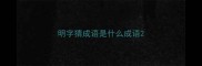 明字猜成语是什么成语